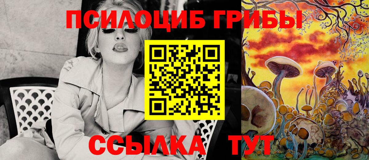Галлюциногенные грибы Psilocybe  Вход с VPN  Галлюциногенные грибы Psilocybe  Глазов 