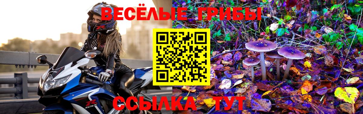 Галлюциногенные грибы Magic Shrooms Глазов